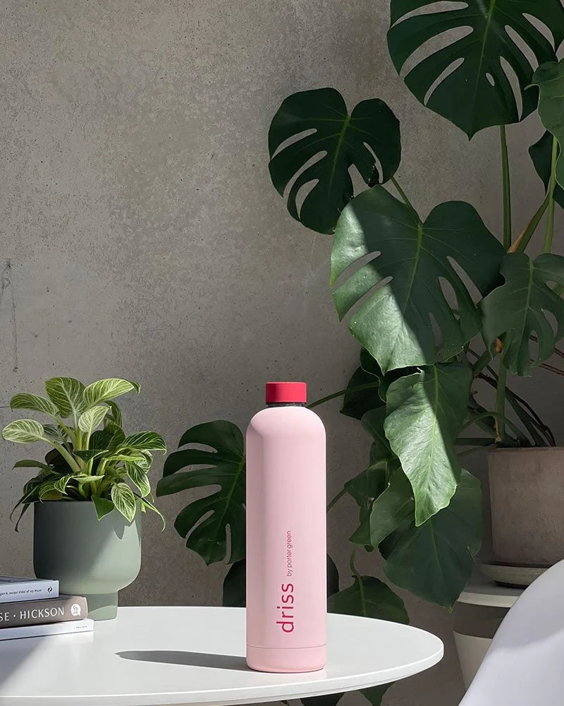 Driss | Insulated Stainless Steel Bottle | Lucena